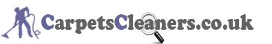 Carpet Cleaner Website Logo